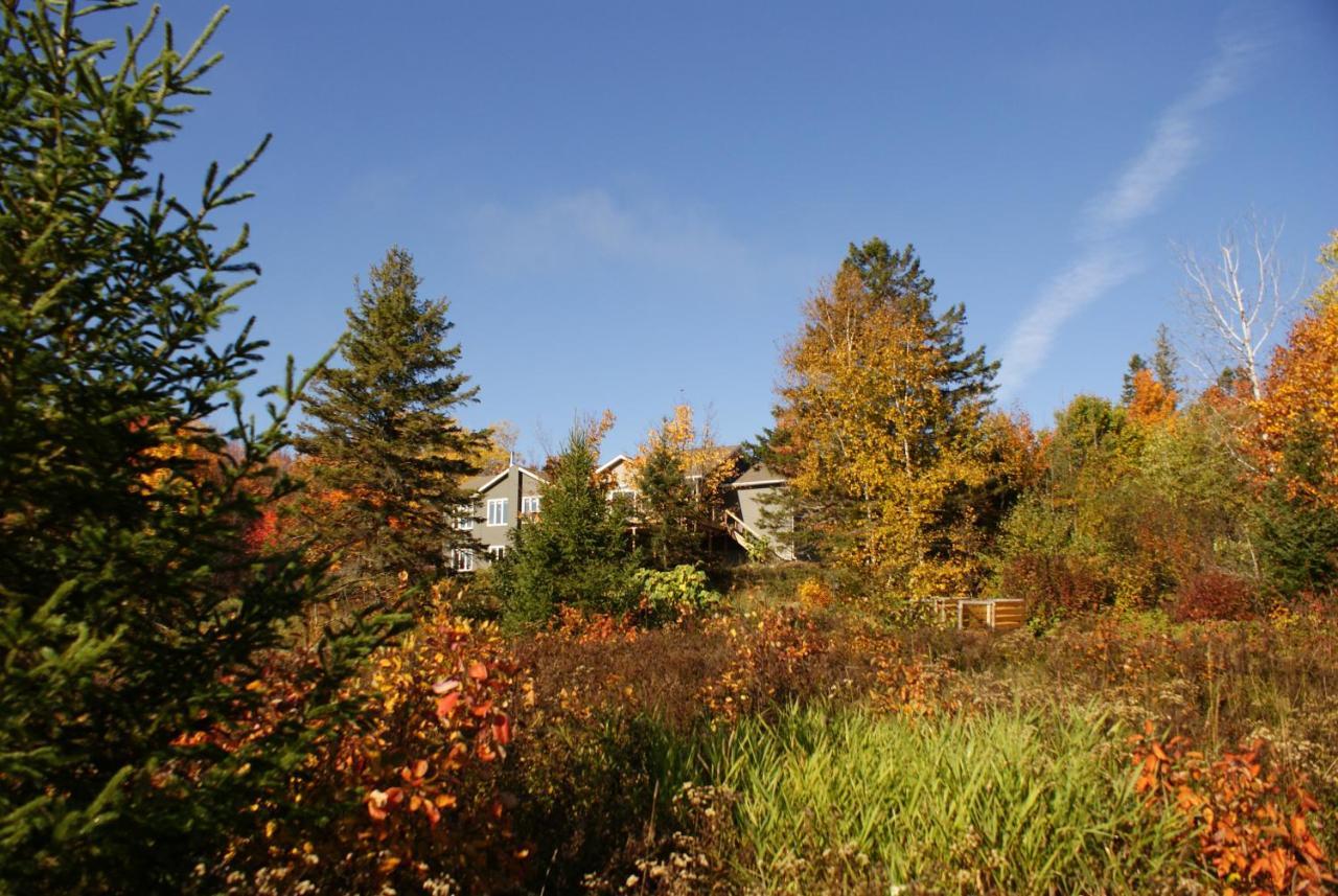 Top Of Algonquin Bed And Breakfast Mattawa Exterior photo